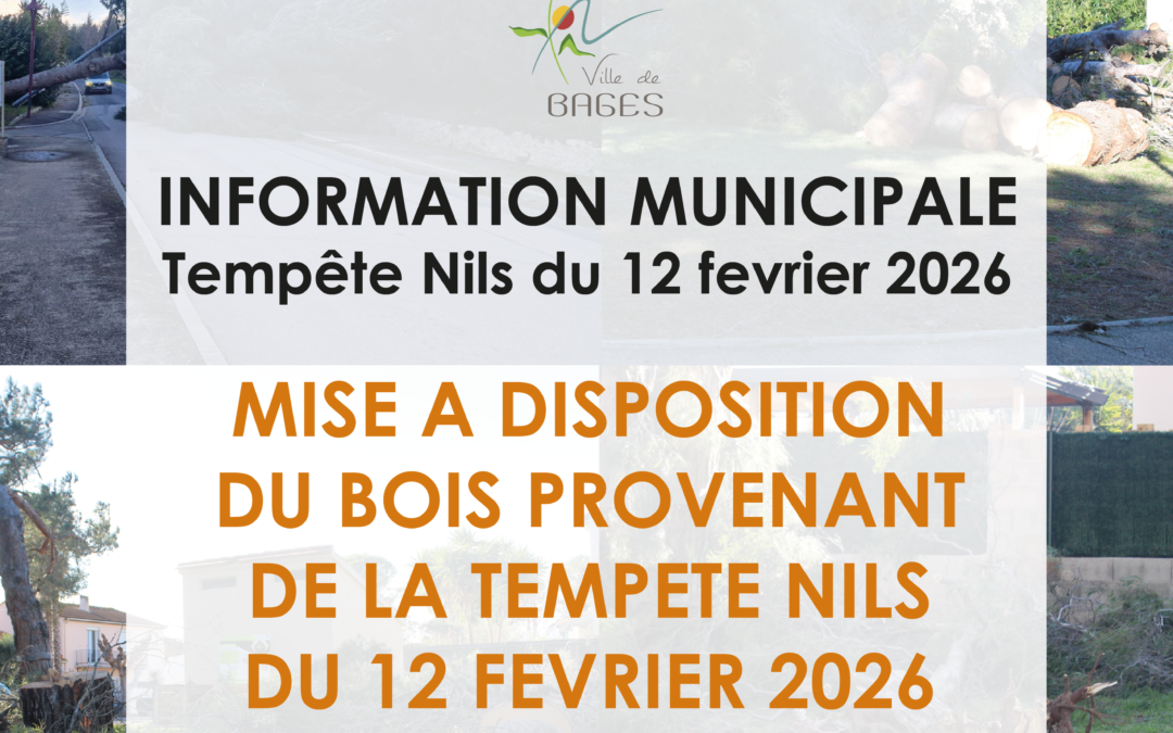 Mise à disposition du bois tempête Nils