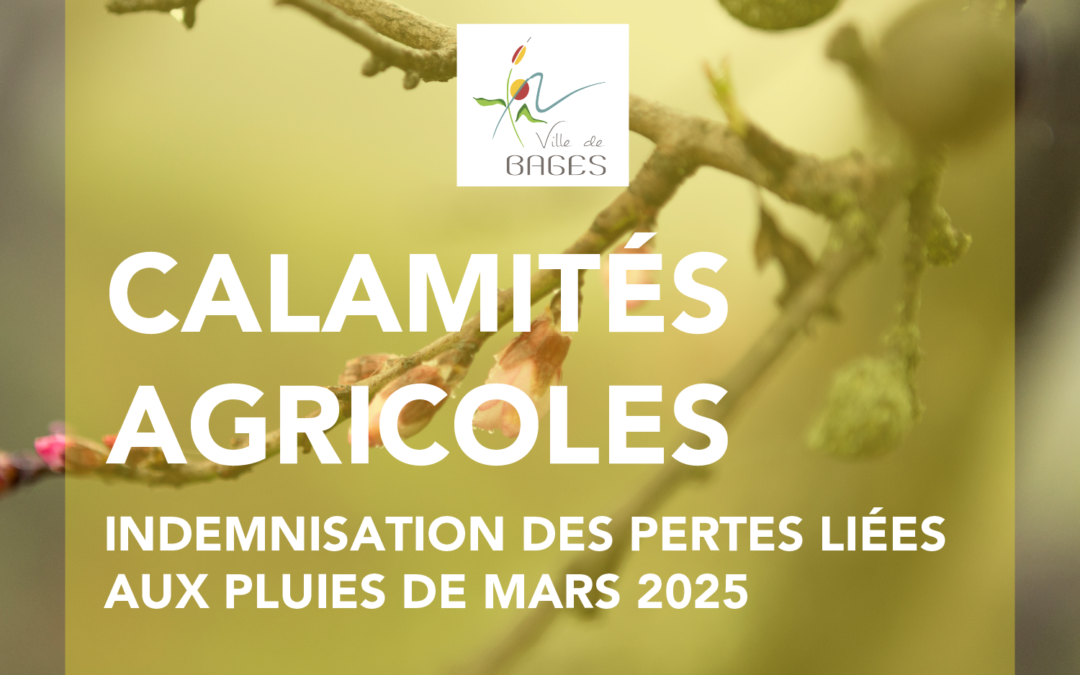 Calamités agricoles : indemnisation des pertes liées aux pluies de mars 2025
